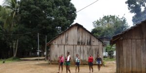 ibge-aponta-aumento-no-numero-de-linguas-e-etnias-indigenas-no-pais